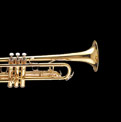Buy Woodwind / Brass